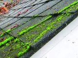 Say Goodbye to Stains and Dirt with Surrey Roof Cleaning