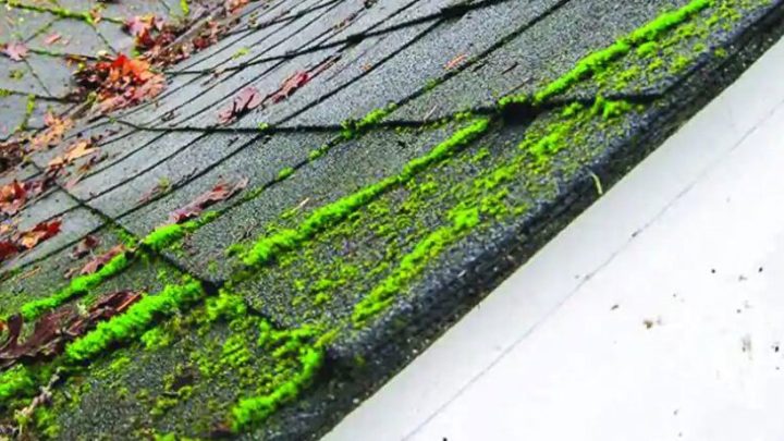 Say Goodbye to Stains and Dirt with Surrey Roof Cleaning